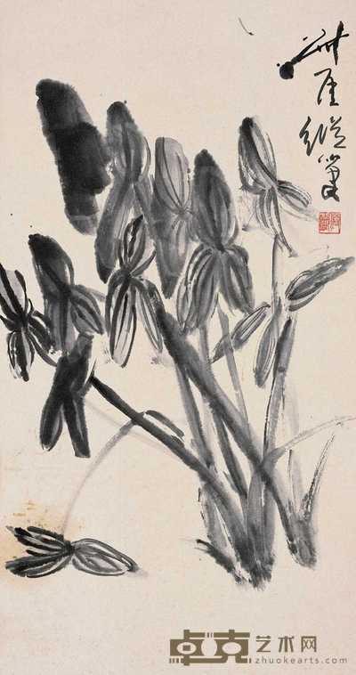 钱瘦铁 墨芋 立轴 99×52cm